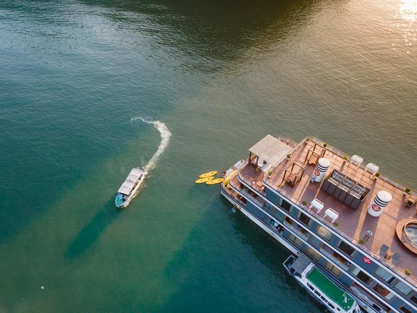 Quelles croisières offrent des randonnées pour explorer les Alpes suisses?